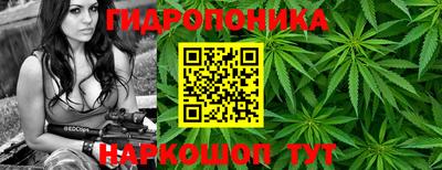 таблы Можга