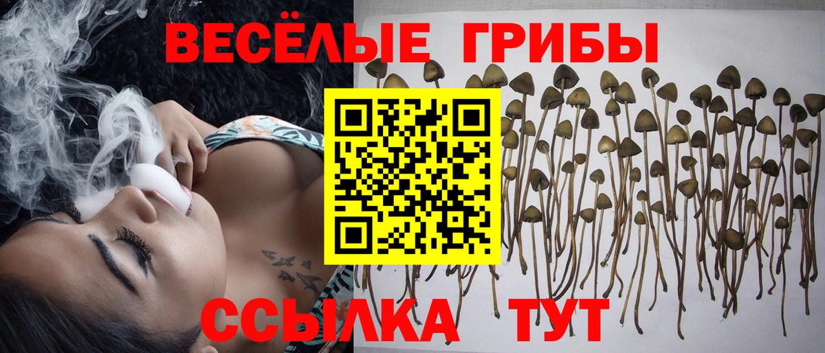 как найти закладки  Псилоцибиновые грибы прущие грибы  Вход с VPN  Шелехов  Галлюциногенные грибы Magic Shrooms 