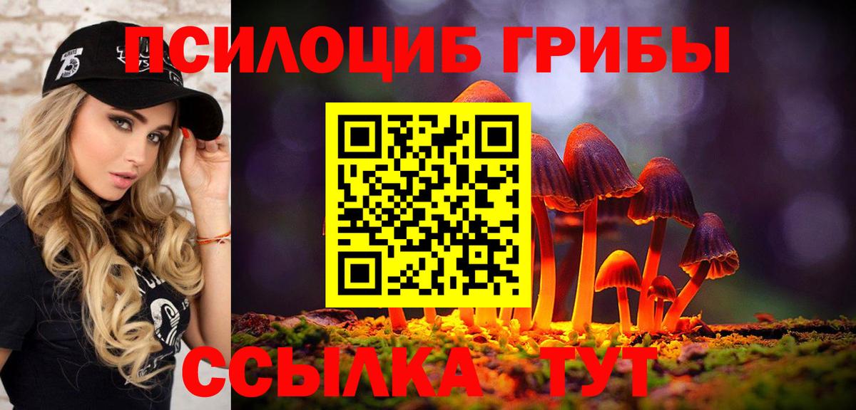 Псилоцибиновые грибы мицелий Шелехов